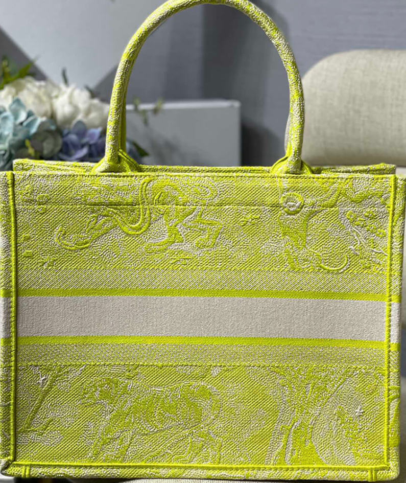 SMALL DIOR BOOK TOTE