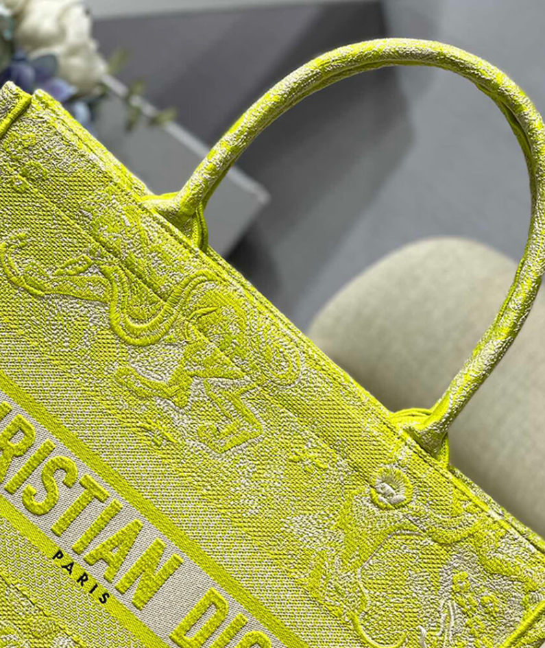 SMALL DIOR BOOK TOTE
