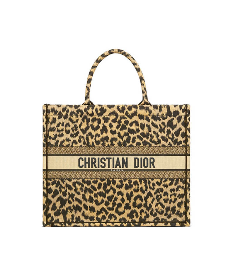 SMALL DIOR BOOK TOTE