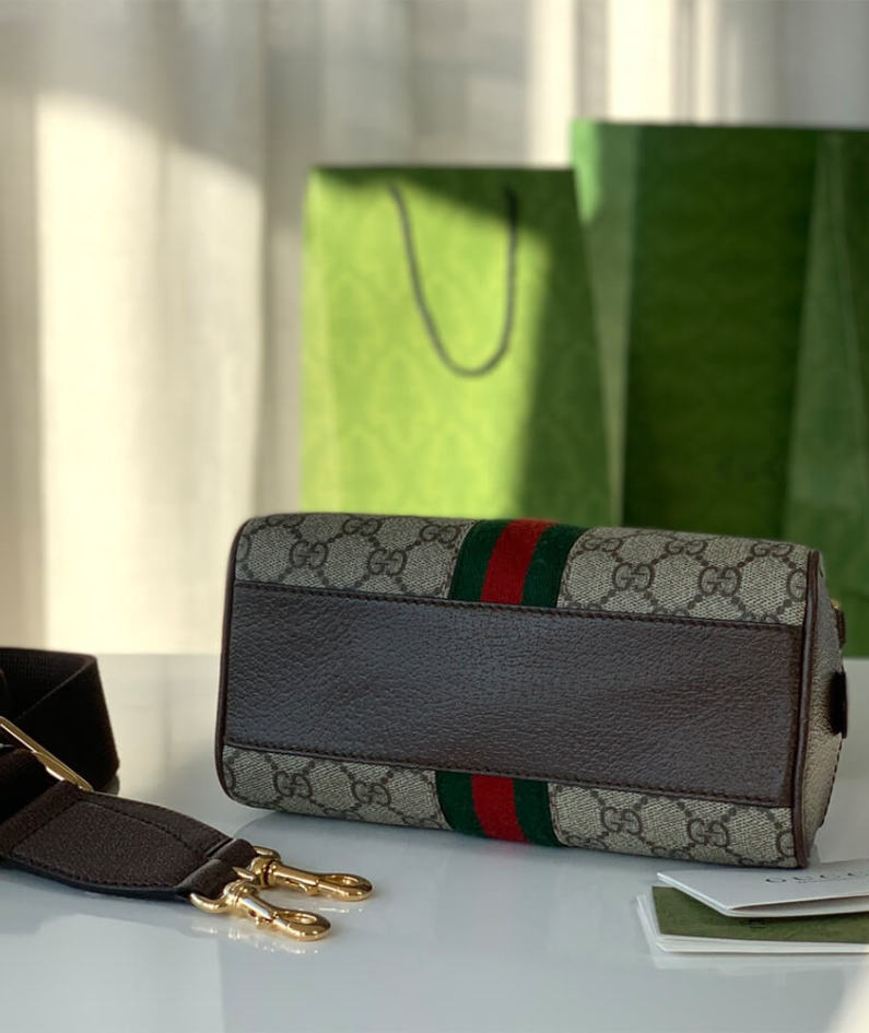 Ophidia mini GG top handle bag