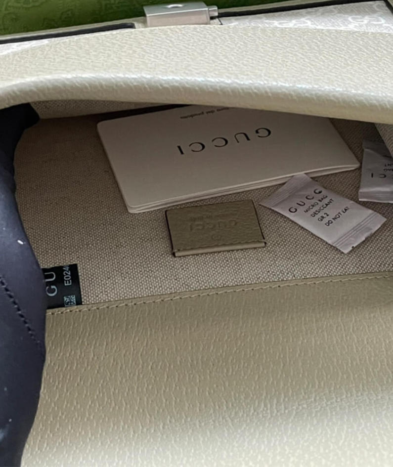 Dionysus GG mini bag