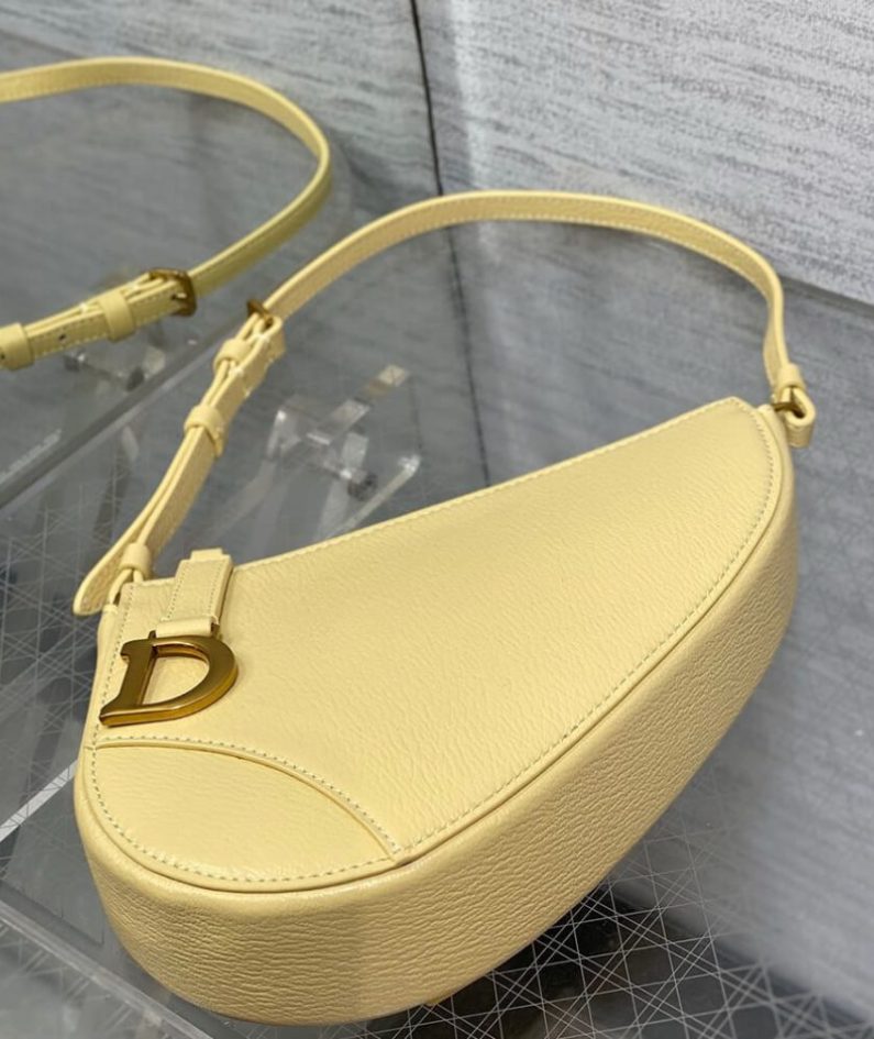 Dior Saddle Rodeo Pouch