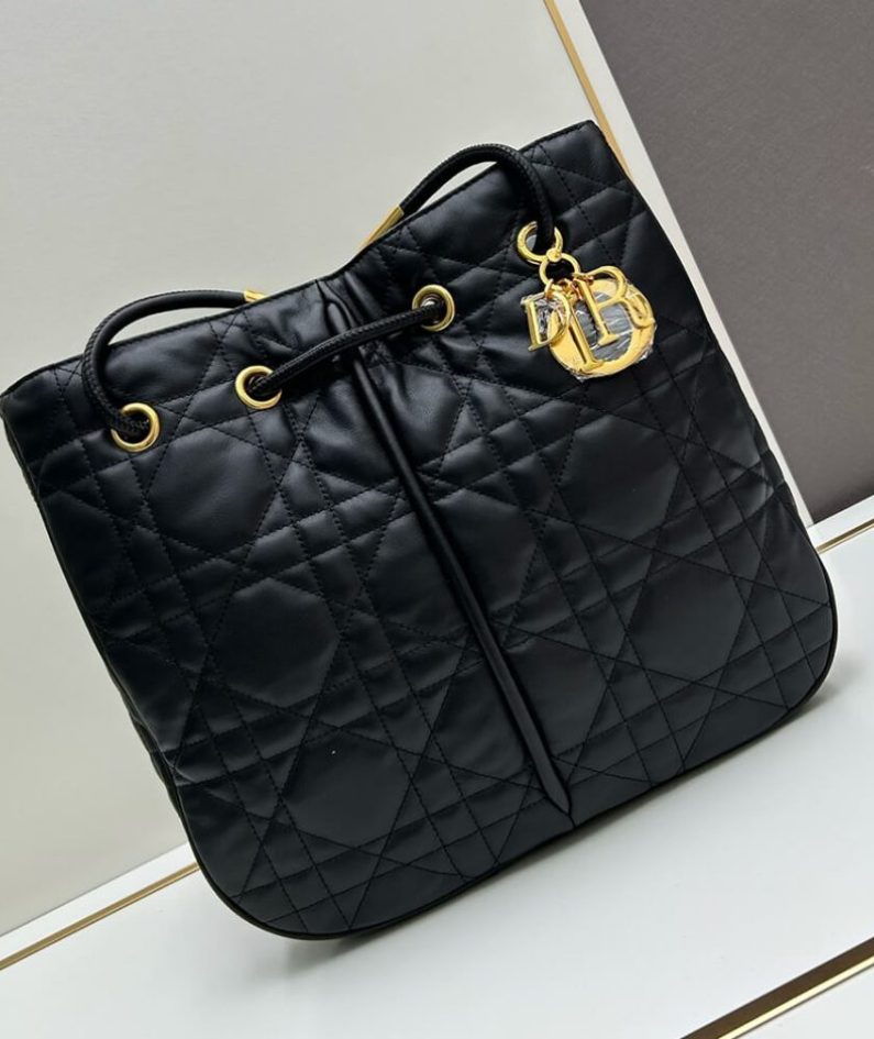 Large Dior Nolita Bag