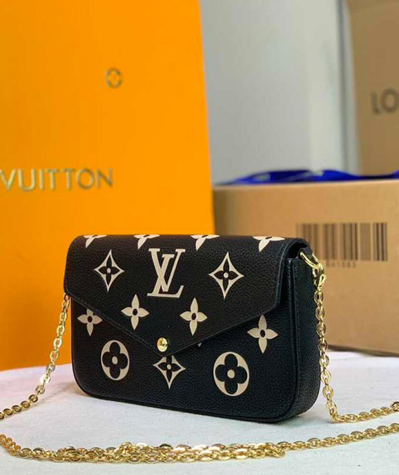 Louis Vuitton Felicie pochette bag