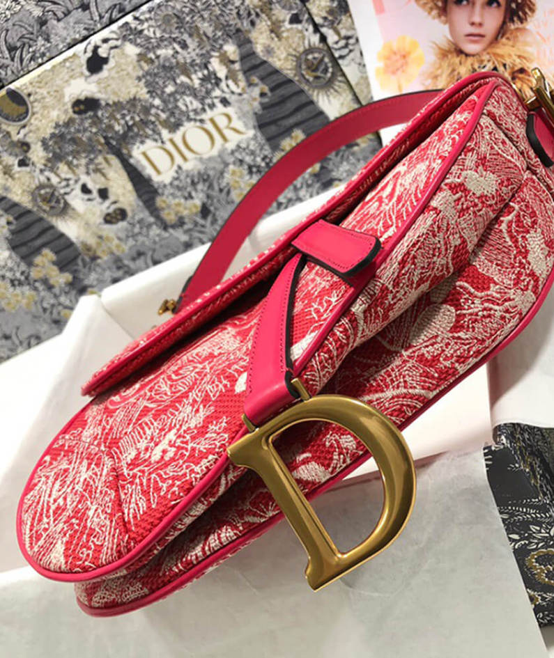 Dior SADDLE BAG