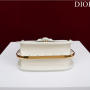 DIOR BOBBY FRAME BAG
