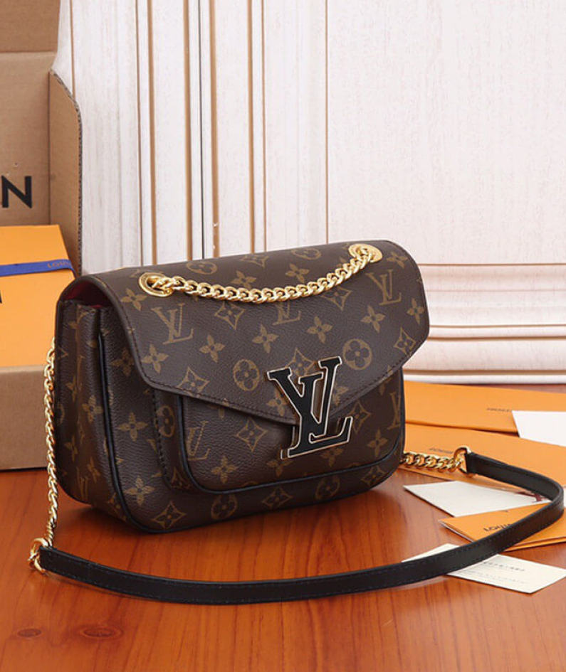 LV Passy Handbag