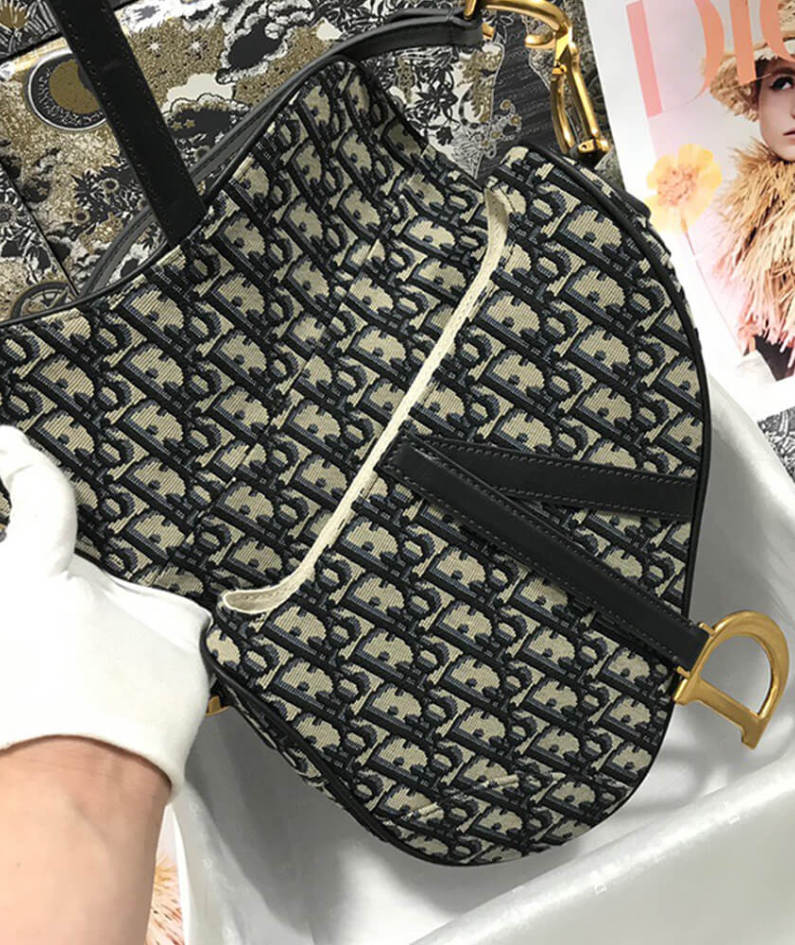 Dior SADDLE BAG