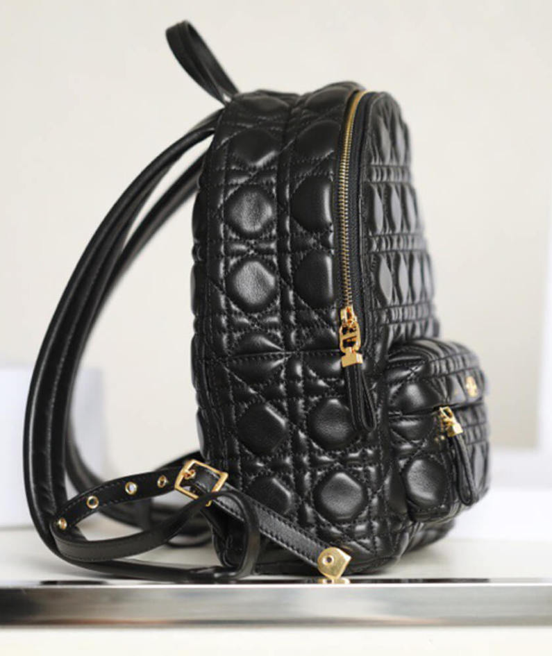 SMALL DIOR BACKPACK
