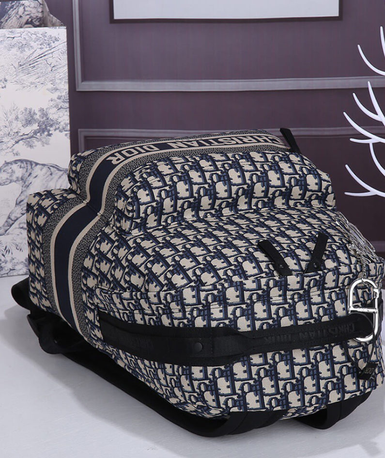 DIORTRAVEL BACKPACK