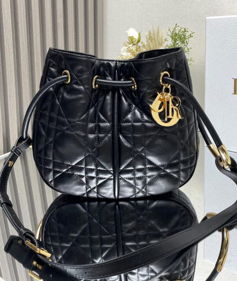 Medium Dior Nolita Bag
