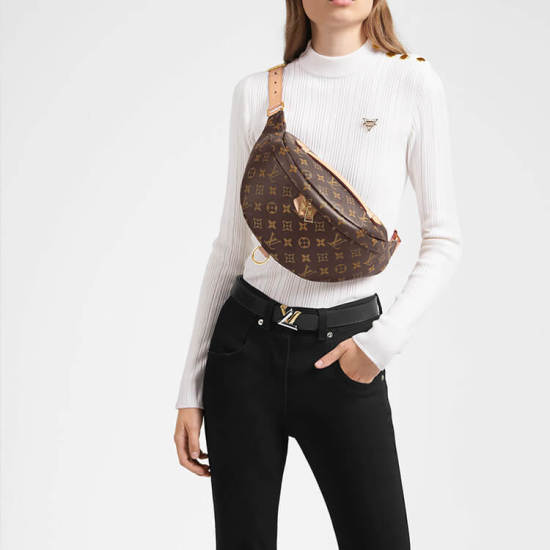 LV Bumbag LV Bumbag