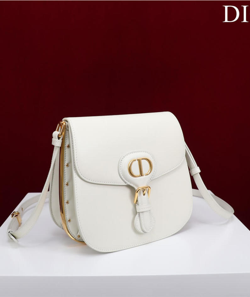 DIOR BOBBY FRAME BAG