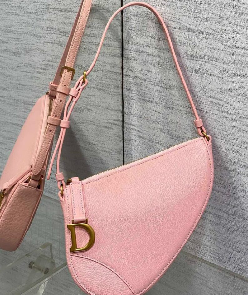 Dior Saddle Rodeo Pouch