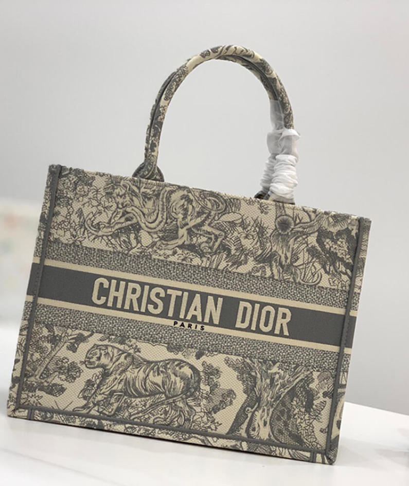 SMALL DIOR BOOK TOTE