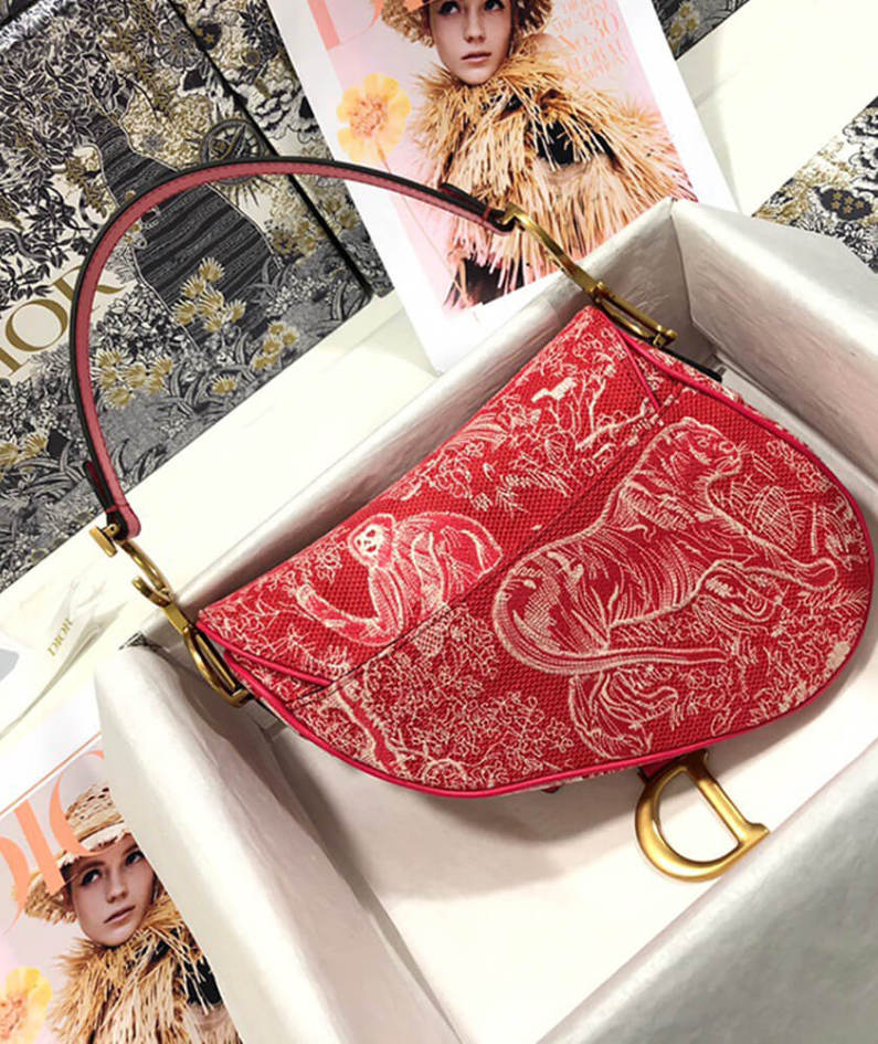 Dior SADDLE BAG