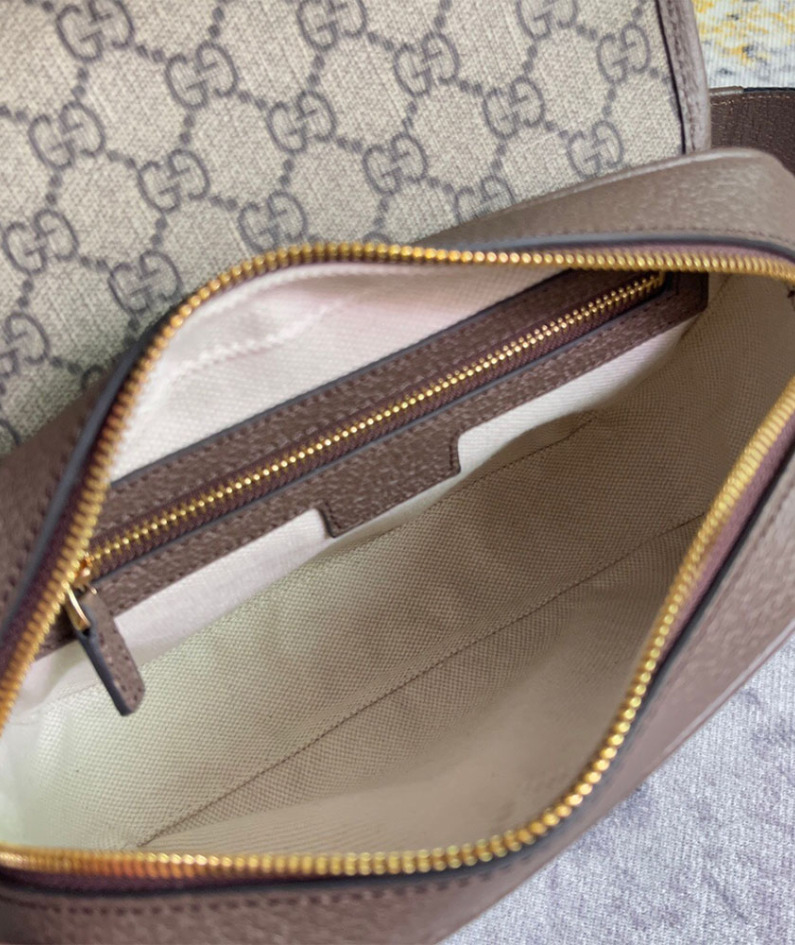 Ophidia mini GG shoulder bag
