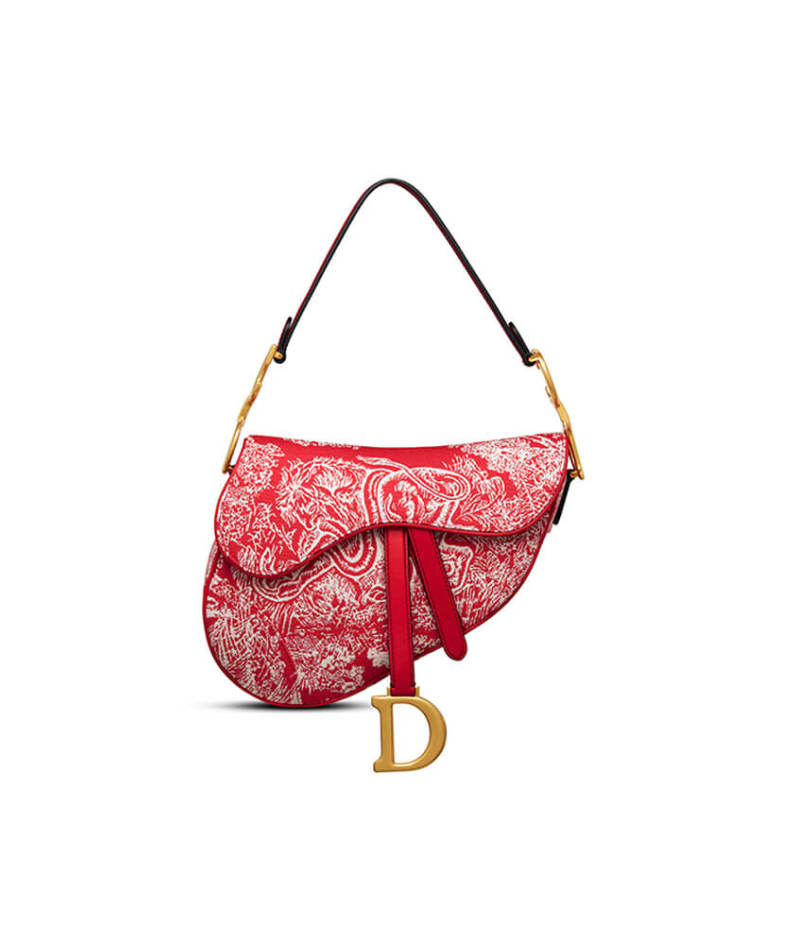 Dior SADDLE BAG