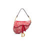 Dior SADDLE BAG