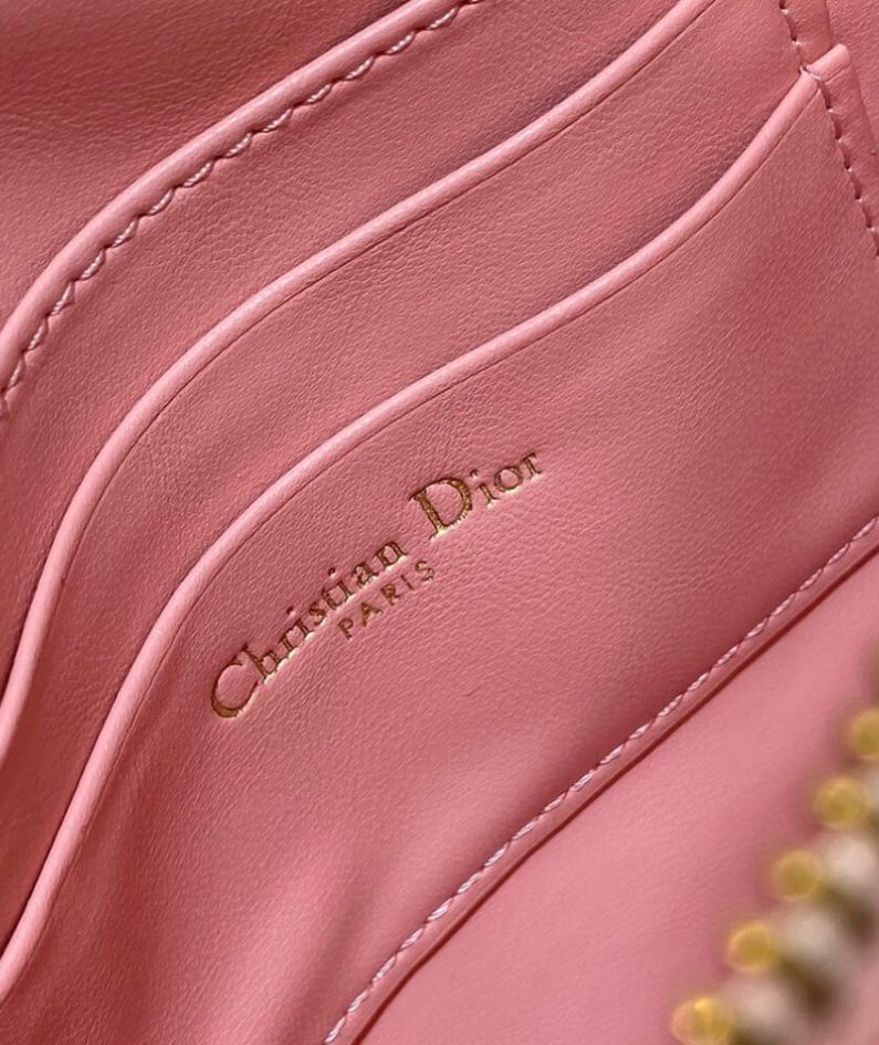 Dior Saddle Rodeo Pouch