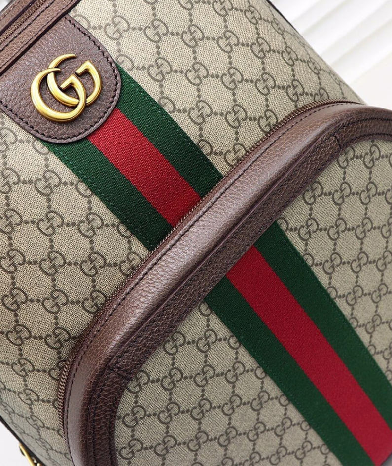 Ophidia GG medium backpack