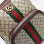 Ophidia GG medium backpack
