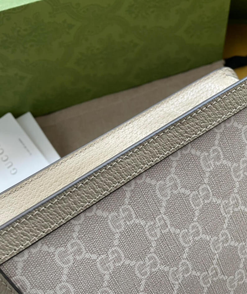 Dionysus GG mini bag