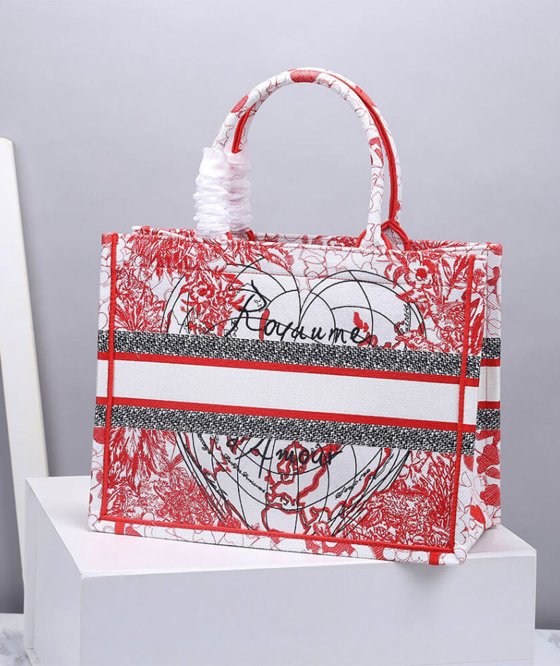 SMALL DIOR BOOK TOTE