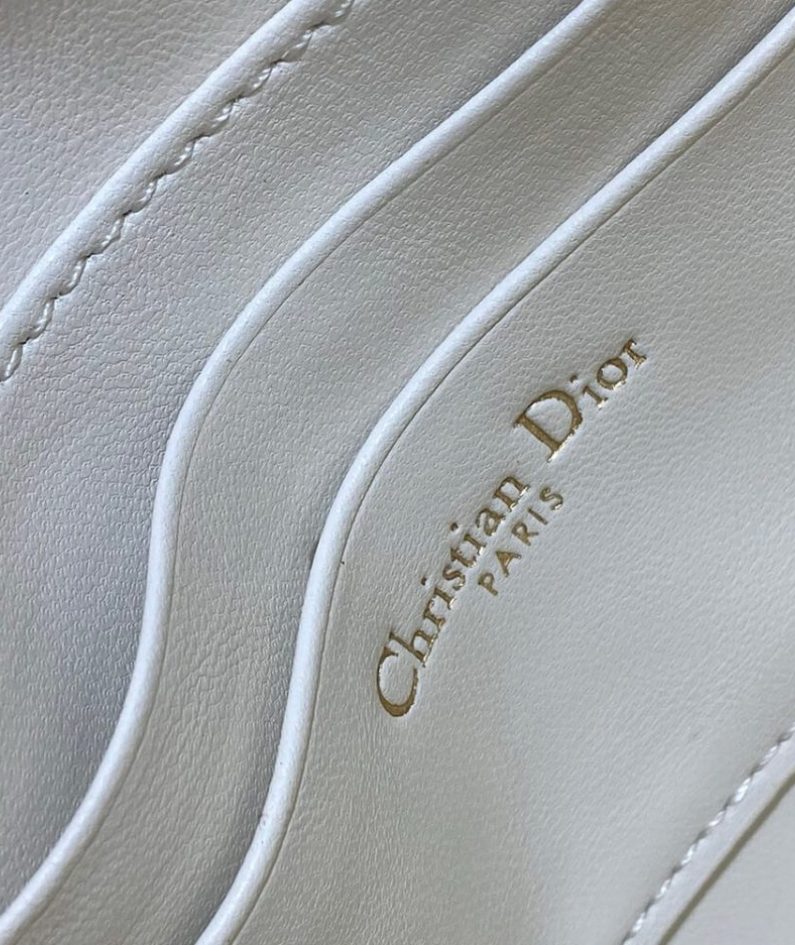 Dior Saddle Rodeo Pouch