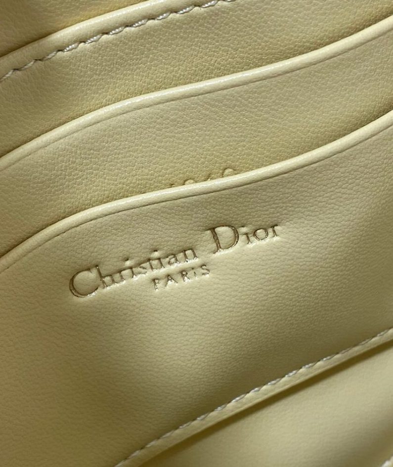 Dior Saddle Rodeo Pouch