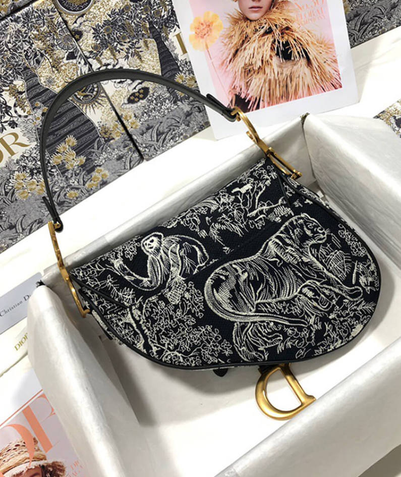 Dior SADDLE BAG
