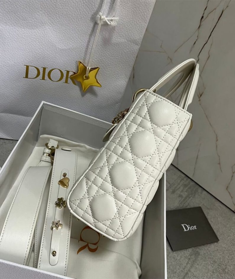 SMALL LADY DIOR MY ABCDIOR BAG
