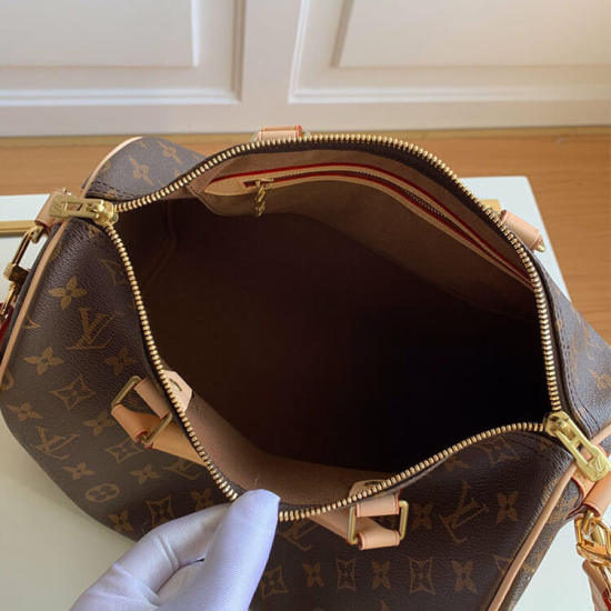 LV Speedy Bandouliere 30 Handbag LV Speedy Bandouliere 30 Handbag