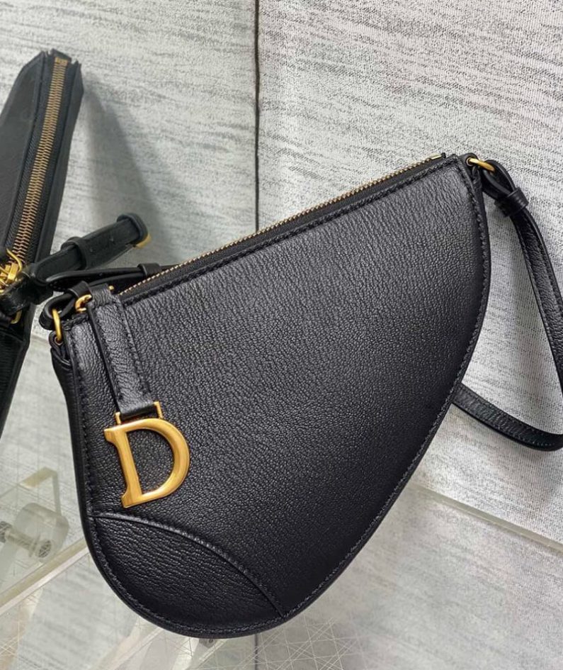 Dior Saddle Rodeo Pouch