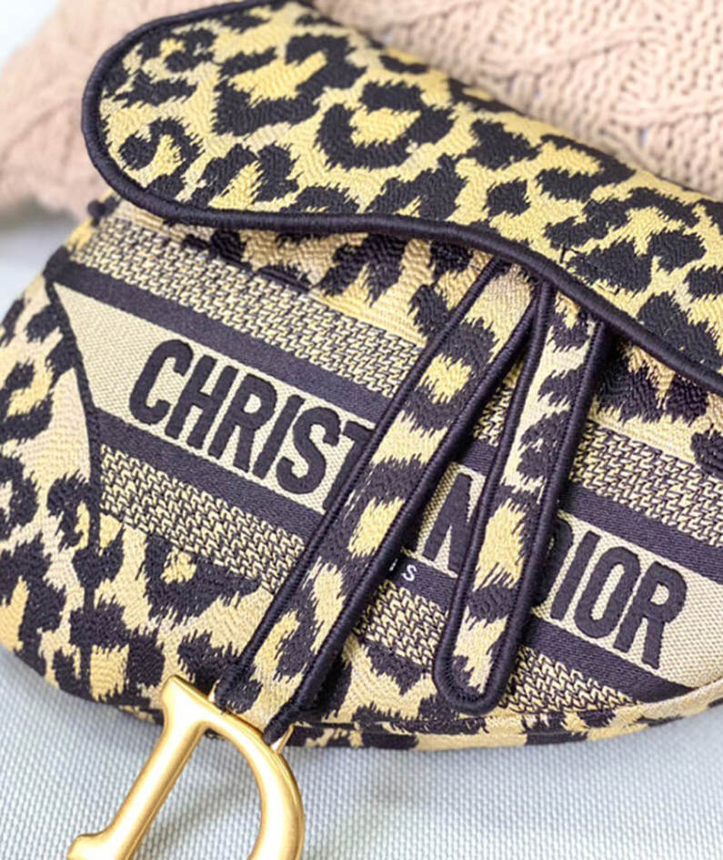 Dior SADDLE BAG