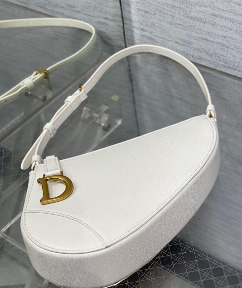 Dior Saddle Rodeo Pouch