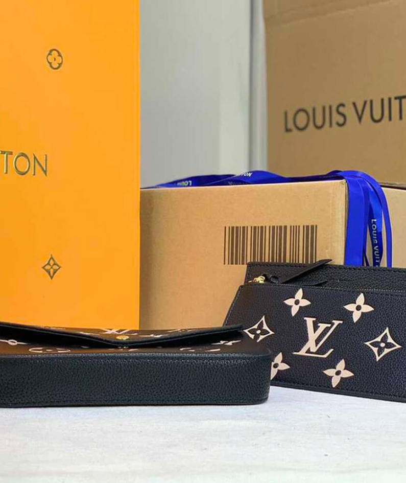 Louis Vuitton Felicie pochette bag