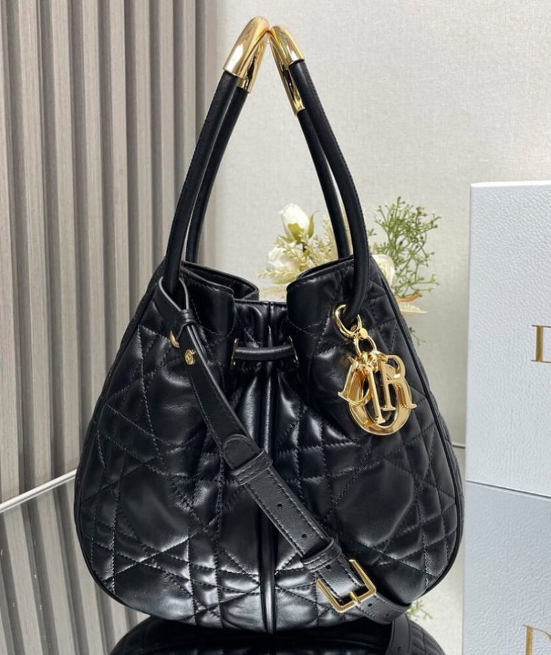 Medium Dior Nolita Bag