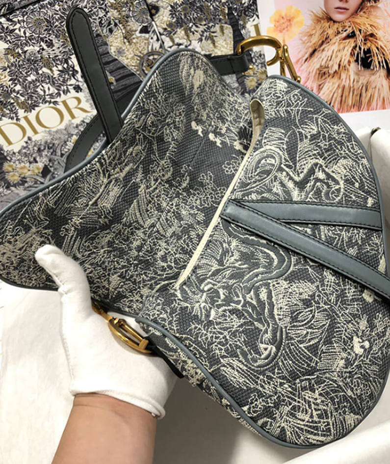 Dior SADDLE BAG
