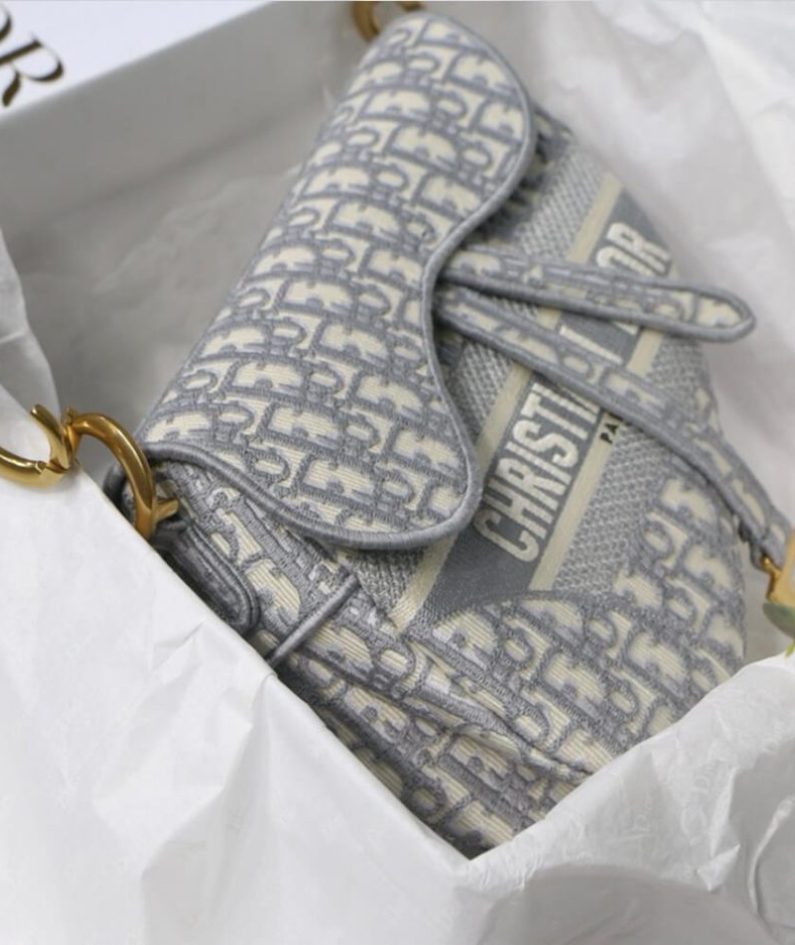 DIOR SADDLE BAG