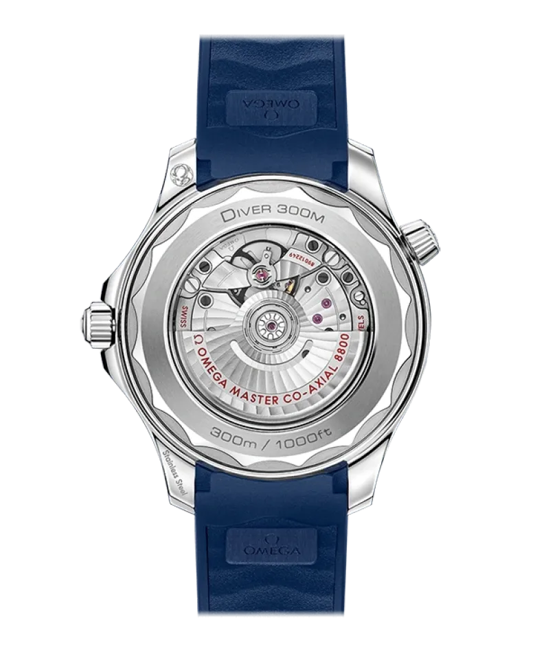 DIVER 300M CO‑AXIAL MASTER CHRONOMETER 42 MM-210.32.42.20.06.001