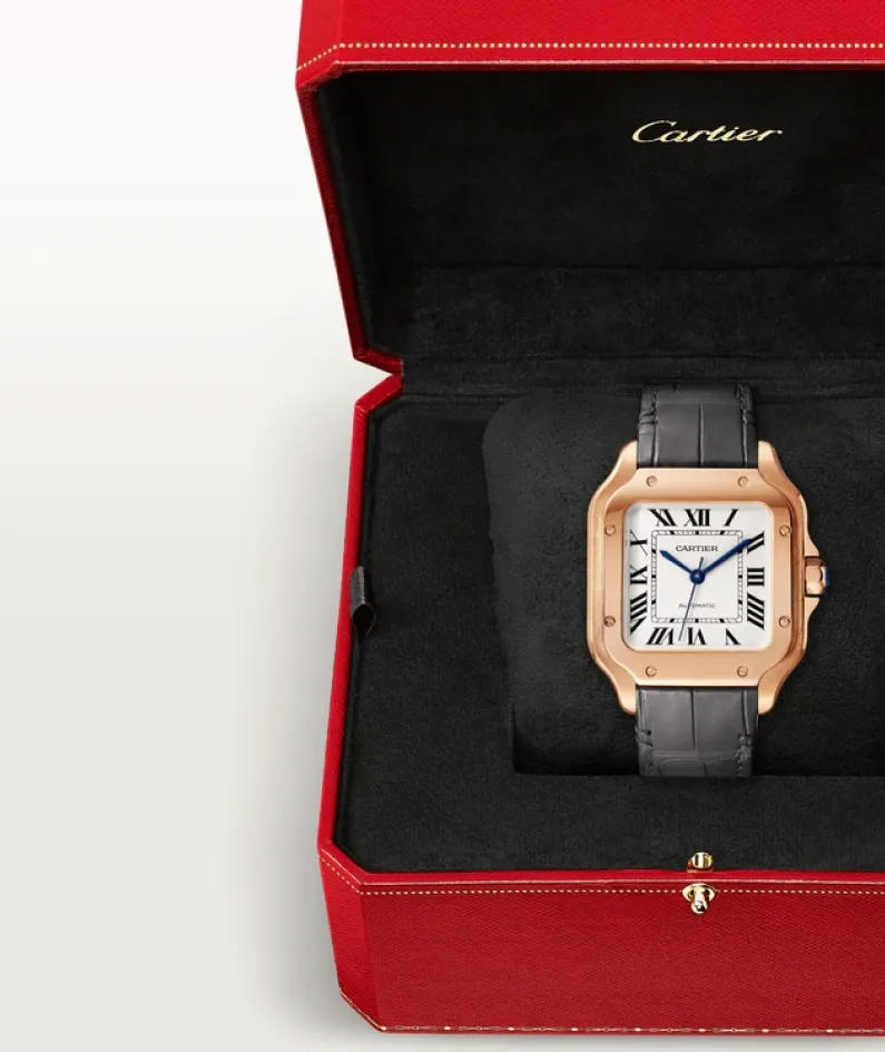 SANTOS DE CARTIER WATCH -WGSA0028