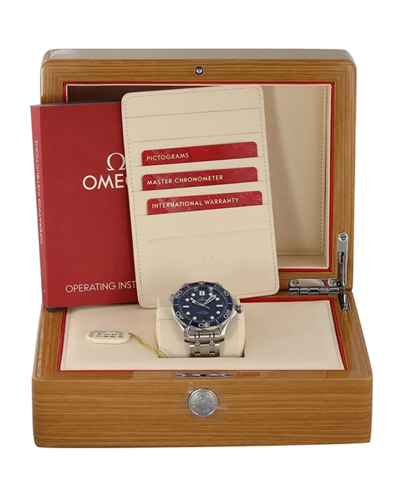 DIVER 300M CO‑AXIAL MASTER CHRONOMETER 42 MM-210.30.42.20.03.001