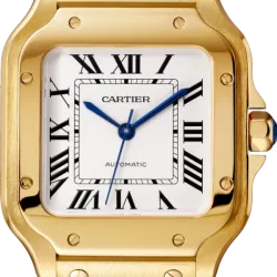 CARTIER santos 18kt Yellow Gold Men's WatchItem -WGSA0007(AAAAA)