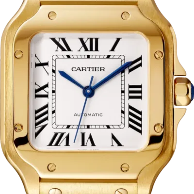 CARTIER santos 18kt Yellow Gold Men's WatchItem -WGSA0007(AAAAA)