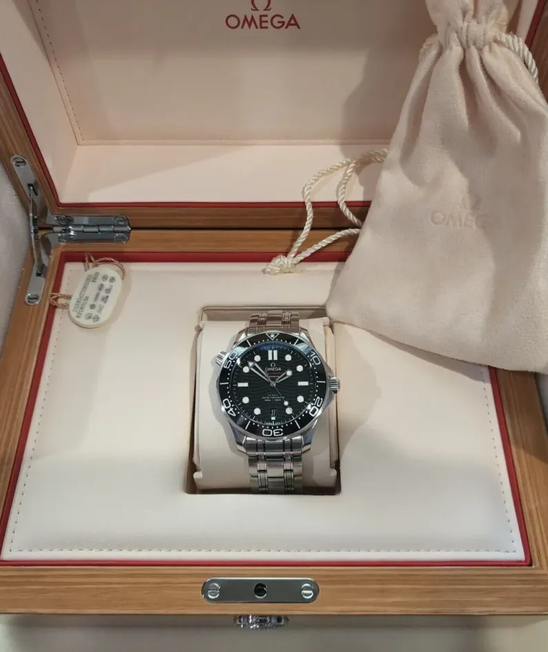 DIVER 300M CO‑AXIAL MASTER CHRONOMETER 42 MM