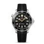 DIVER 300M CO‑AXIAL MASTER CHRONOMETER 42 MM