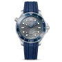 DIVER 300M CO‑AXIAL MASTER CHRONOMETER 42 MM-210.32.42.20.06.001