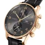 IWC Portugieser IW371482 watch (PORTUGIESER CHRONOGRAPH)