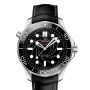 DIVER 300M CO‑AXIAL MASTER CHRONOMETER 42 MM